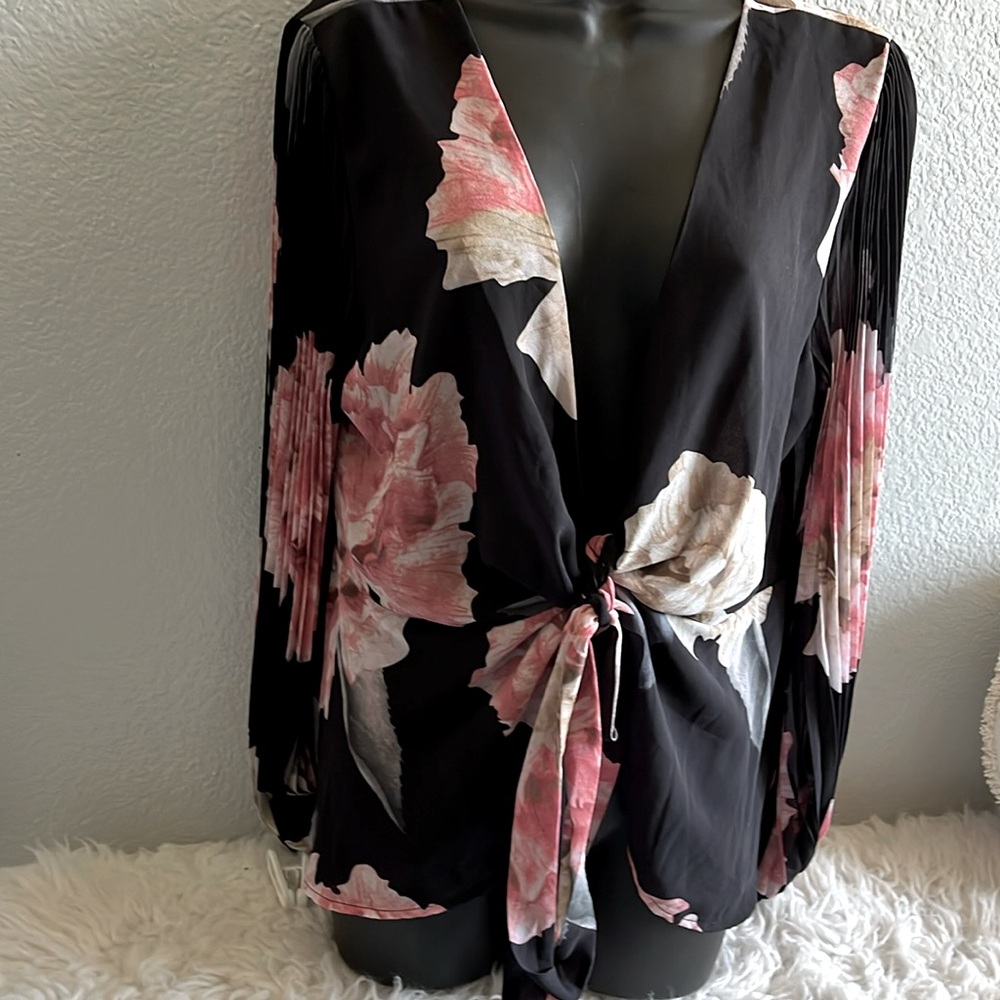 Sheer fancy top long sleeve front tie
